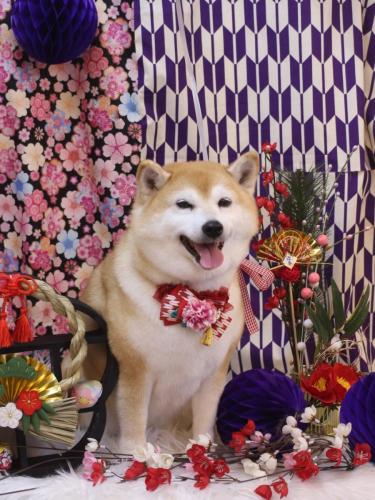 20250105初ちゃん